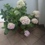 Purkovic Apartamento Vodice
