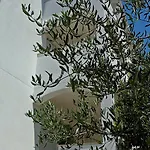 Purkovic Vodice