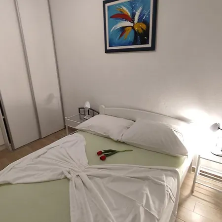 Purkovic Apartment *