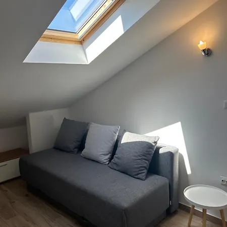Purkovic Apartment