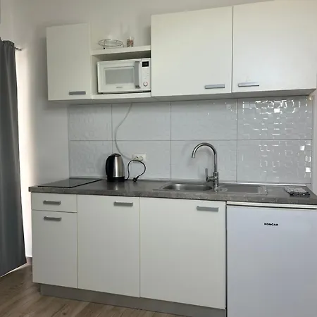 Apartment Purkovic