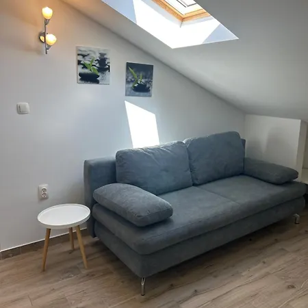 Purkovic Apartmán *