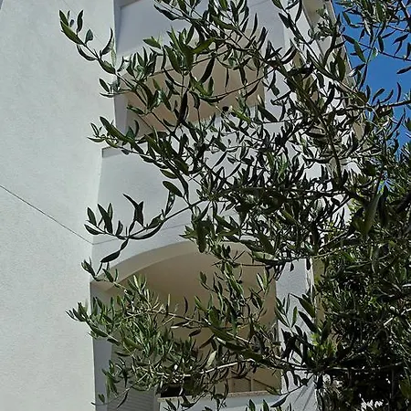Purkovic Vodice