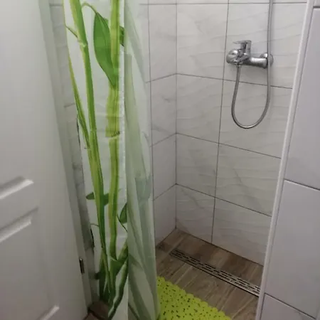 Apartment Purkovic *