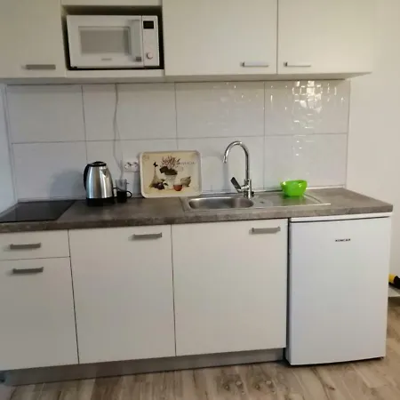 Purkovic Apartment