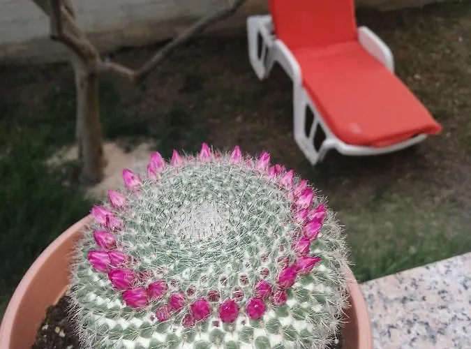 Apartamento Purkovic Vodice