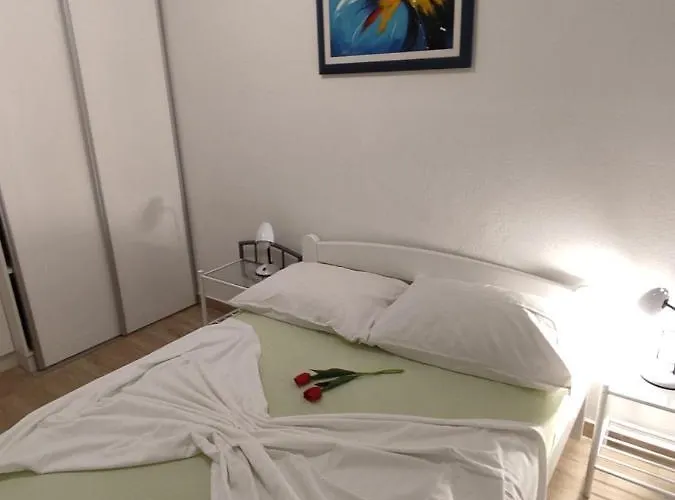 Purkovic Apartamento *