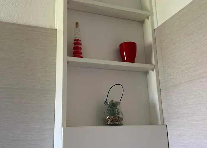 Purkovic Apartamento