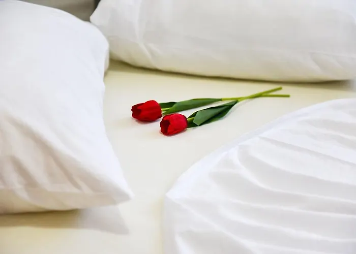 Purkovic Apartamento *