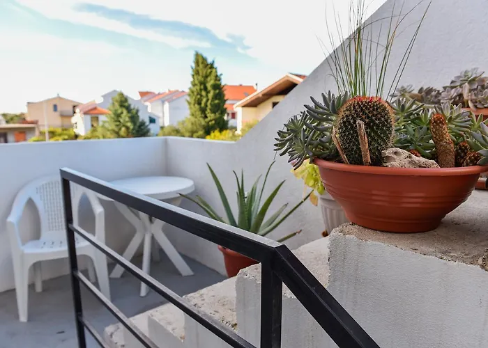 Purkovic * Βόντιτσε