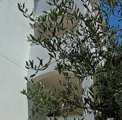 Purkovic Βόντιτσε